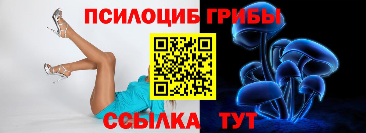 Псилоцибиновые грибы Psilocybe Ярцево